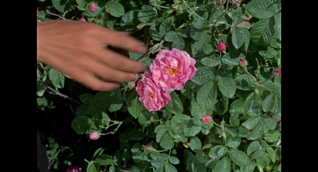 Geography is Destiny, Rayna Teneva, film still