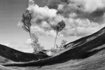 Giuseppe Stampone, La natura delle cose, 2023, Penna Bic su fotografia 40 x 30 cm. Photo Gino Di Paolo. Courtesy Museolaboratorio ex manifattura tabacchi, Citt&agrave; Sant'Angelo (PE)
