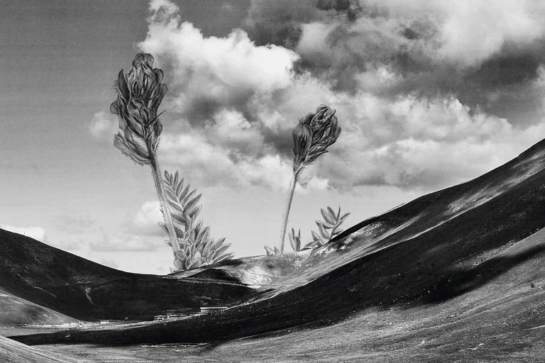 Giuseppe Stampone, La natura delle cose, 2023, Penna Bic su fotografia 40 x 30 cm. Photo Gino Di Paolo. Courtesy Museolaboratorio ex manifattura tabacchi, Citt&agrave; Sant'Angelo (PE)