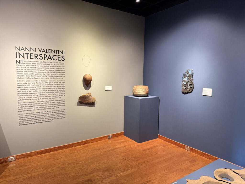 Nanni Valentini, Interspaces, Everson Museum of Art