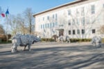 Davide Rivalta a Stoccolma