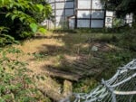 Le foto del degrado di Villa Borghese