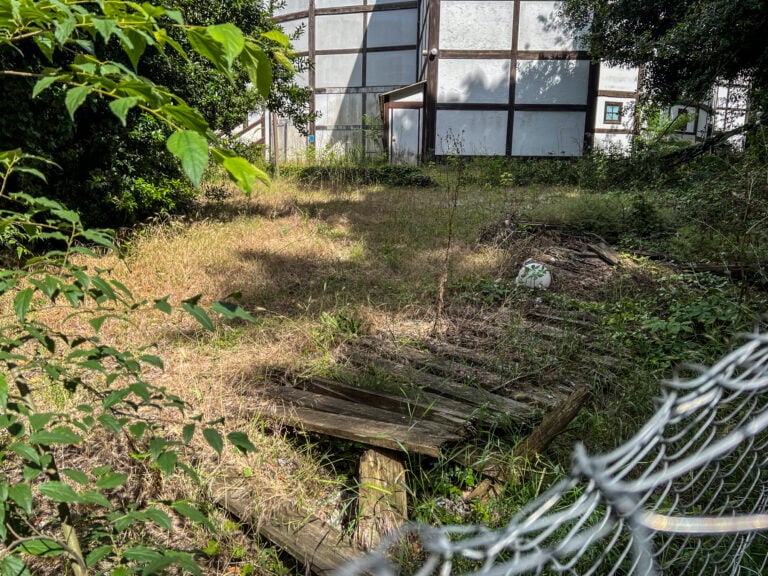 Le foto del degrado di Villa Borghese