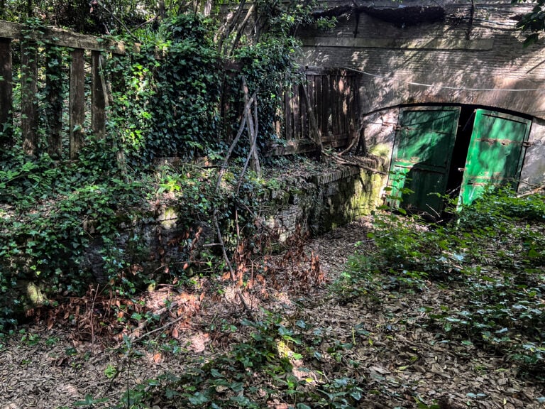 Le foto del degrado di Villa Borghese