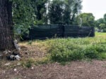 Le foto del degrado di Villa Borghese