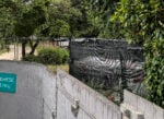 Le foto del degrado di Villa Borghese