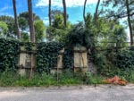 Le foto del degrado di Villa Borghese