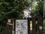 Le foto del degrado di Villa Borghese