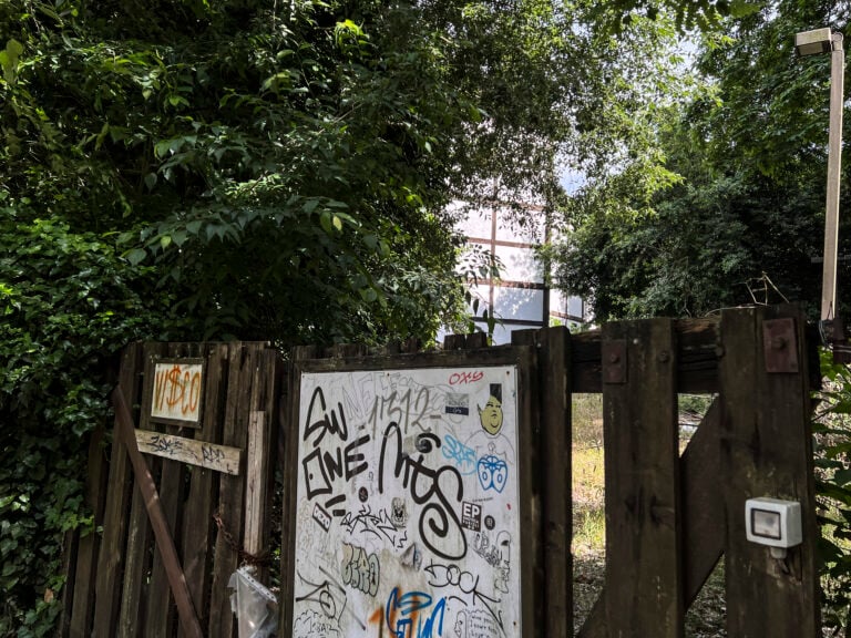 Le foto del degrado di Villa Borghese