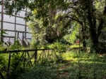Le foto del degrado di Villa Borghese