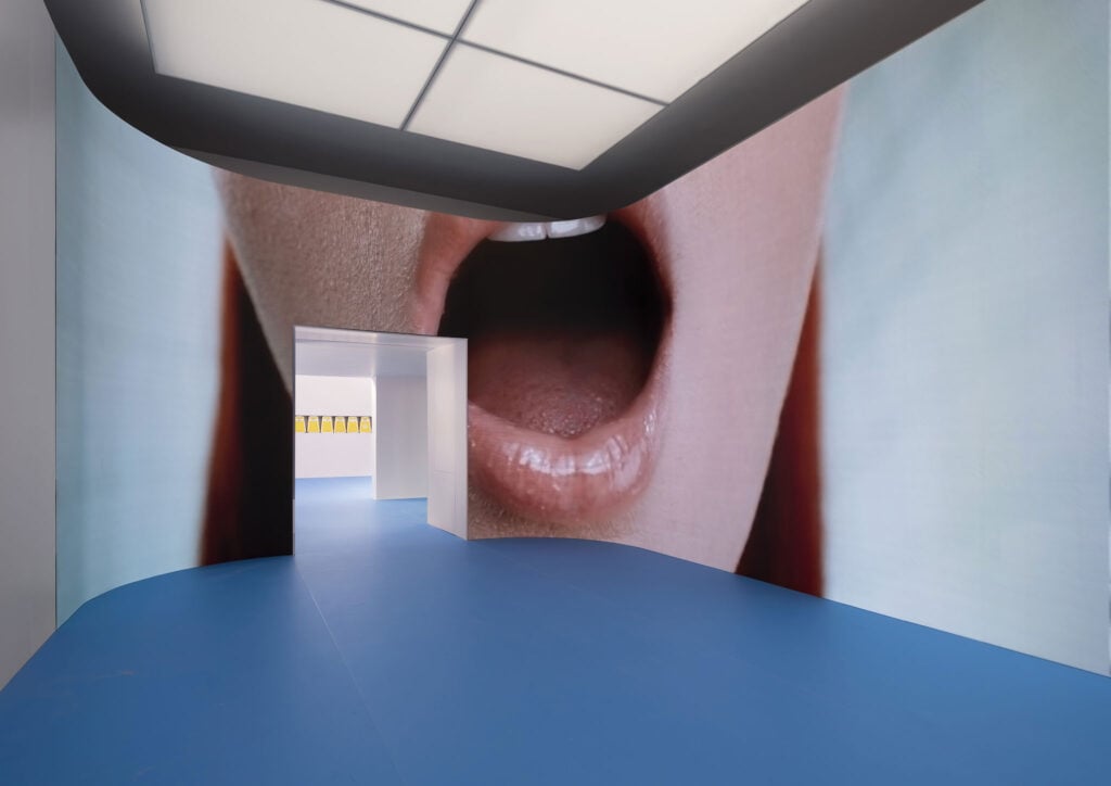 Maja Malou Lyse e Common Accounts, Things to Come, Padiglione della Danimarca, 61° Biennale di Venezia. Ph: Ugo Carmeni