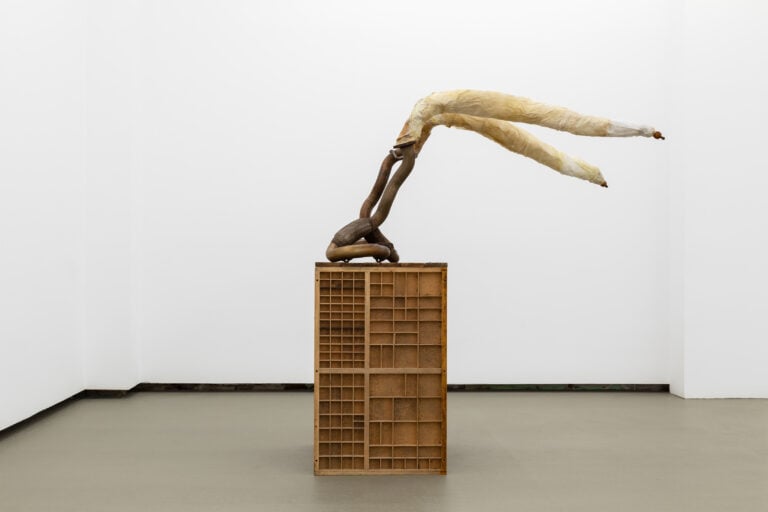 M&oacute;nica Mays, Feeding Falling Flying, 2024