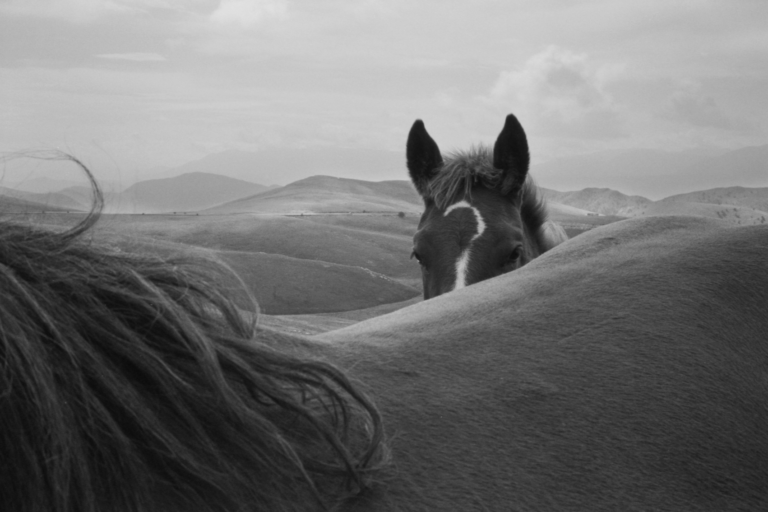 Essere street photographer. Intervista a Simone Morelli, l&rsquo;artista della lentezza