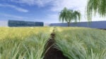 Arte contemporanea e botanica s’incontrano in un nuovo spazio culturale a cielo aperto in Sicilia. L’intervista 