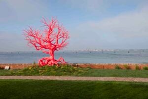 Un’isoletta tutta dedicata all’arte nel mezzo della Laguna di Venezia. Va avanti il progetto della Fondazione Sandretto Re Rebaudengo sull’Isola di San Giacomo