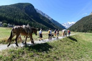 Sul Gran Paradiso per scoprire la montagna che fa cultura. Dal cinema al turismo intelligente