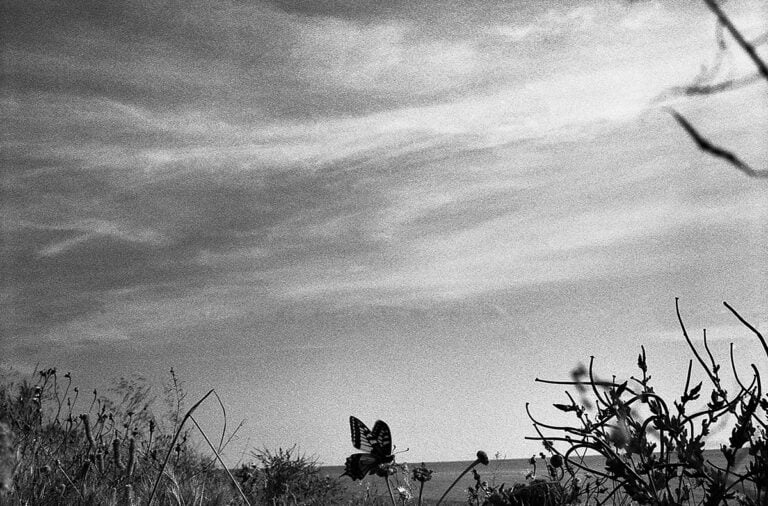 Essere street photographer. Intervista a Simone Morelli, l&rsquo;artista della lentezza