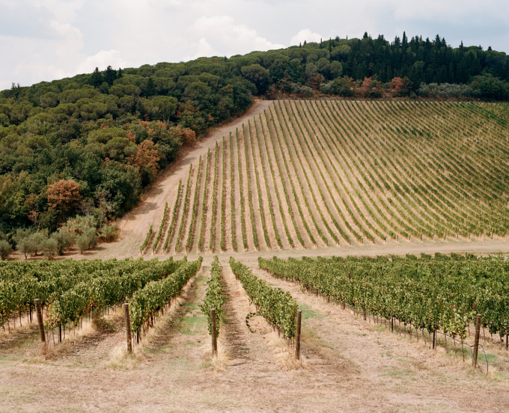 How Italy Feels. Toscana, Gioconda Rafanelli e August Kaciuruba