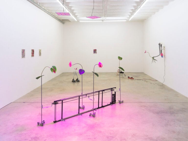 Scuola Piccola Zattere, Unruly Vessel. Rachel Youn