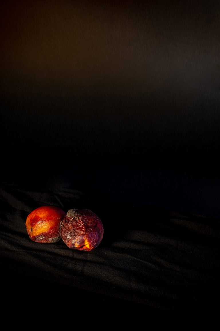 Senera Fineschi, Cattive Compagnie. Ph: Elena Foresto