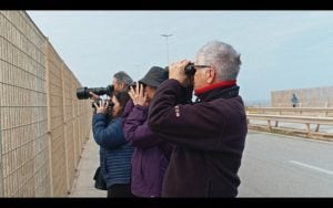 Spazi di Transizione. Verso Costa Sud