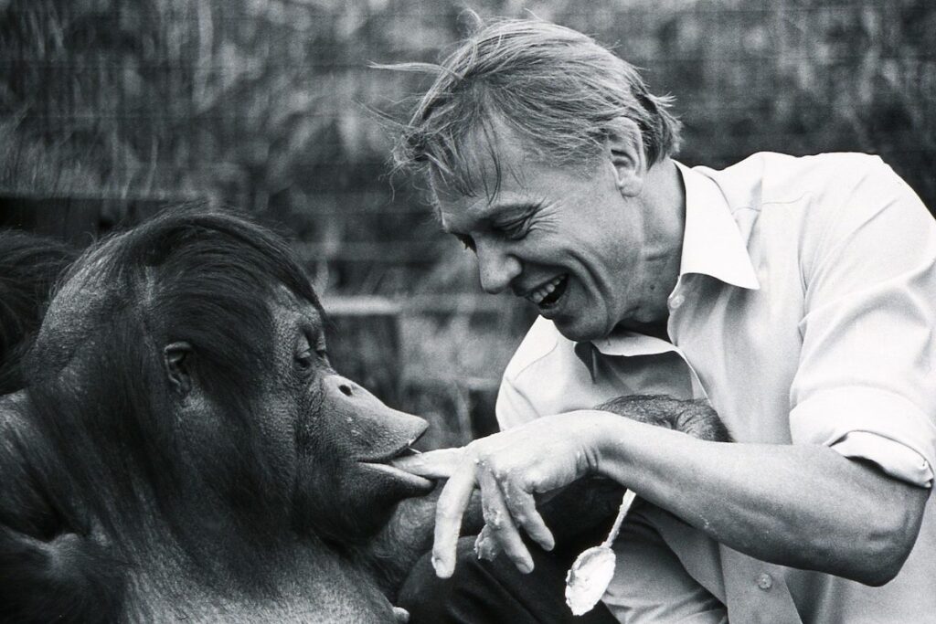 Il Naturalista David Attenborough Compie 100 Anni