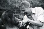 Festeggia 100 anni di David Attenborough. Ecco chi è il padre del documentario naturalistico