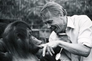 Festeggia 100 anni di David Attenborough. Ecco chi è il padre del documentario naturalistico