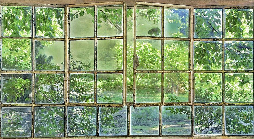 Vera Rossi – In limine