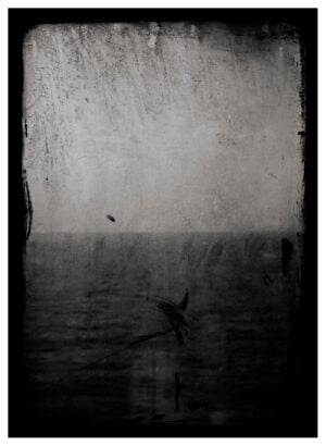 Max Cardelli