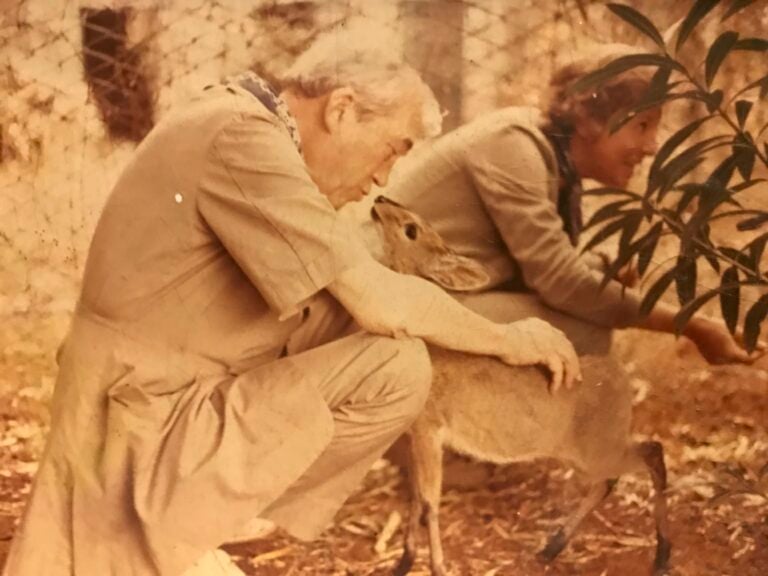 Valeria Alberti e John Houston in Africa