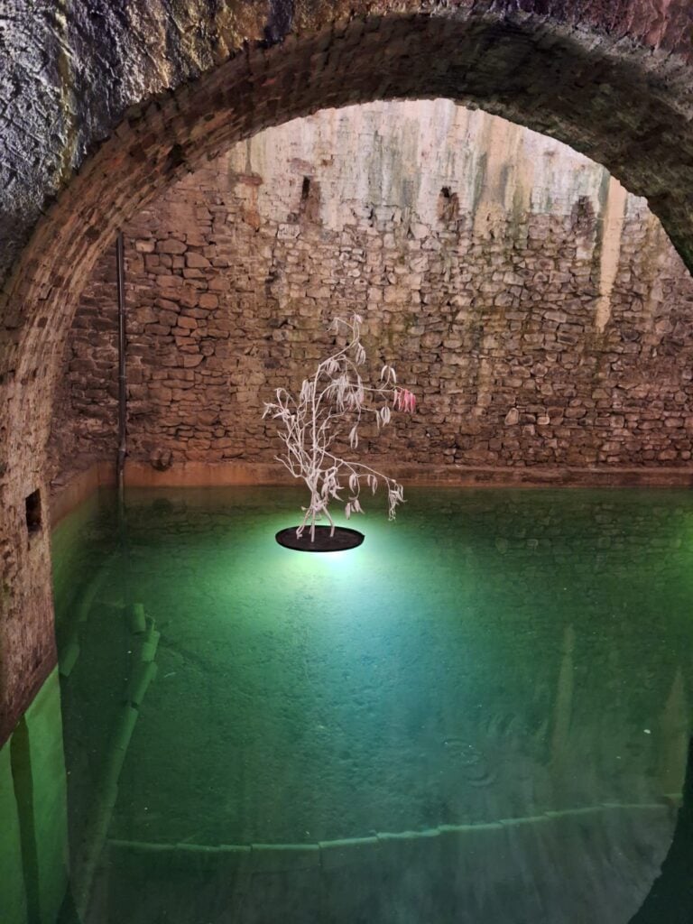 Veronica Montanino, Memorie, 2026, dettaglio dell'installazione