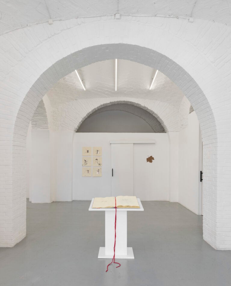 Elisa Montessori, 50 x 35, 2026, installation view at Monitor Rome, ph. Giorgio Benni