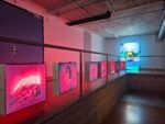 A Basilea c'&egrave; una fiera d'arte anti-sistema che resta aperta fino alle 3 del mattino
