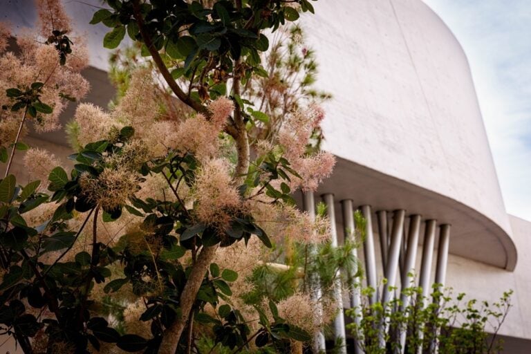 In tempo per l&rsquo;estate 2026 la piazza del MAXXI di Roma &egrave; tutta nuova e tutta verde dopo la depavimentazione. Le foto
