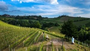 In Piemonte l’arte entra nelle vigne per celebrare un importante anniversario