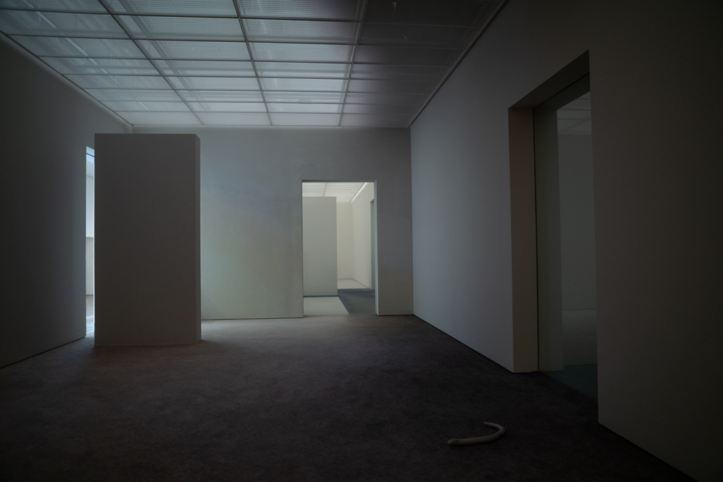 Veduta dell'allestimento con l'unità di controllo del suono a forma di verme @ Fondation Beyeler