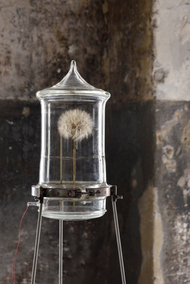 Per un attimo / Still Life, Laberl 201, PH Omar Golli, Eller Studio