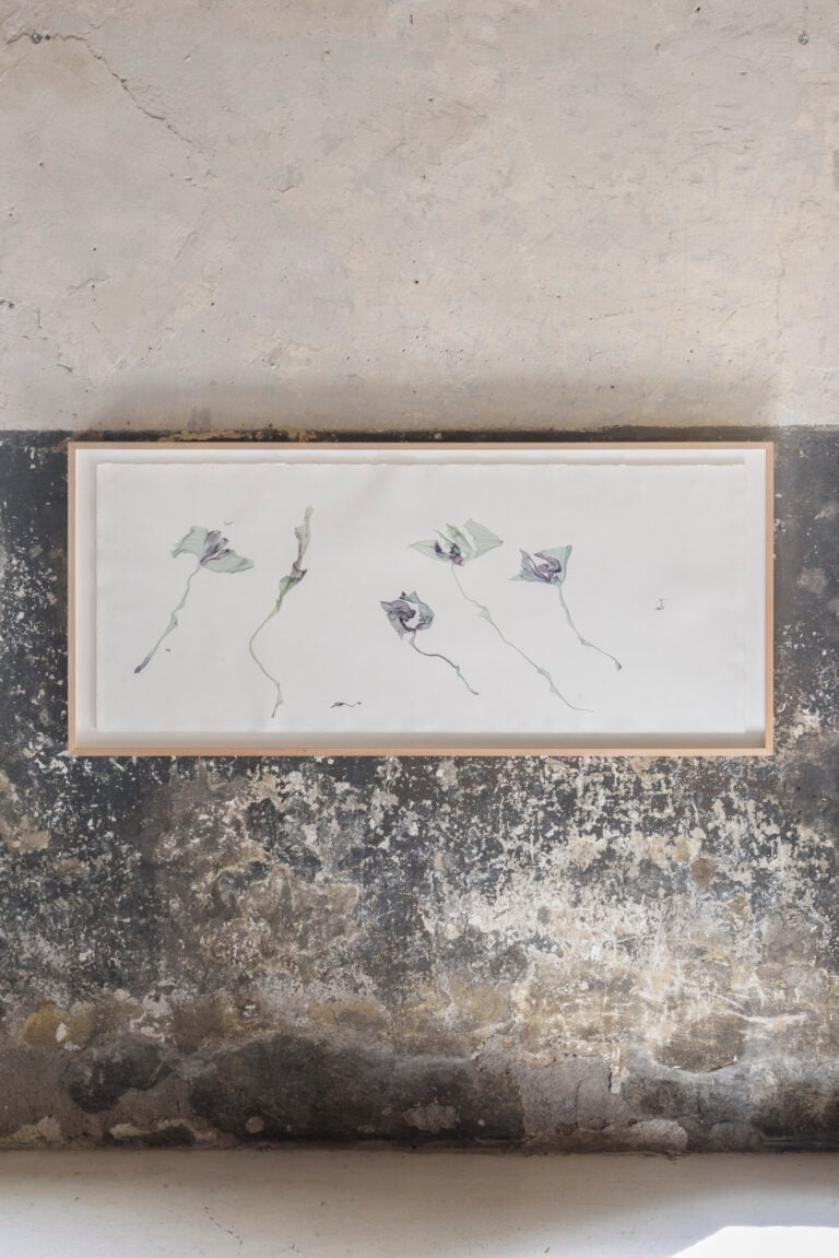 Per un attimo / Still Life, Laberl 201, PH Omar Golli, Eller Studio