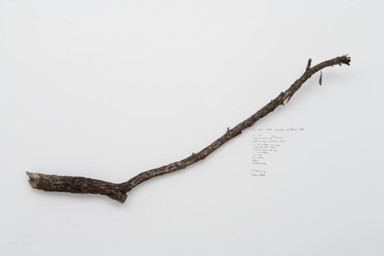 Elisa Montessori, 50 x 35, 2026, installation view at Monitor Rome, ph. Giorgio Benni