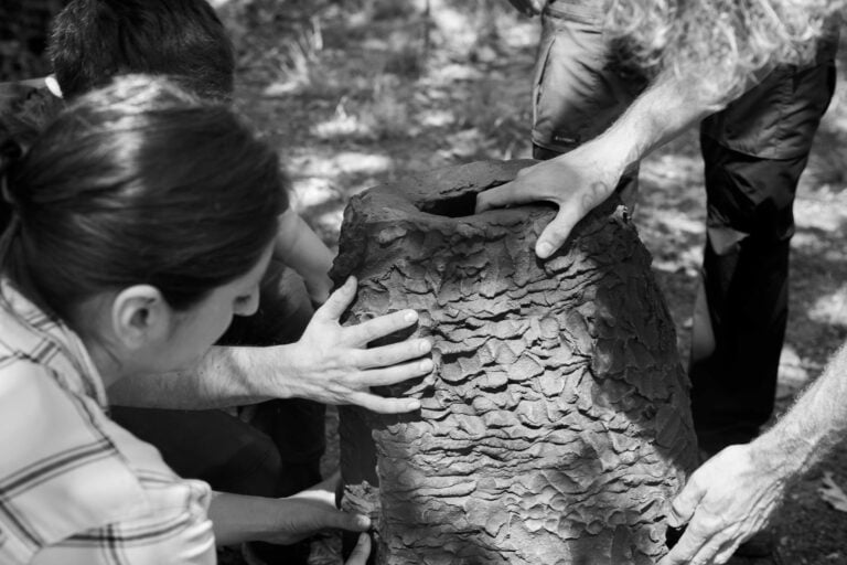 Chiara Camoni, La Forza , 2025, work in progress, ph Camilla Maria Santini