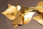 MNEMA 2026 ph ODeCarlo