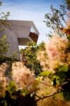 In tempo per l&rsquo;estate 2026 la piazza del MAXXI di Roma &egrave; tutta nuova e tutta verde dopo la depavimentazione. Le foto