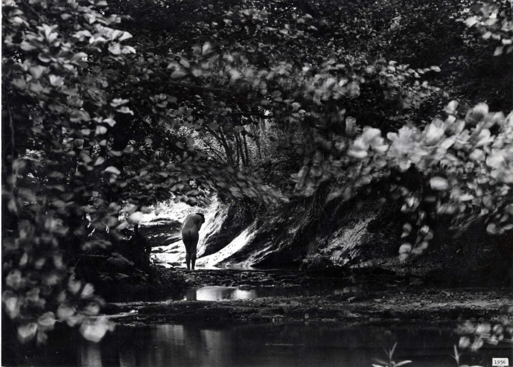 Stefano Robino, Nel bosco, 1955