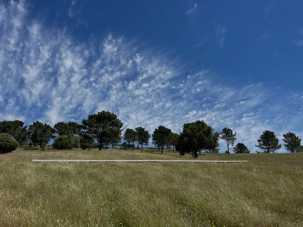 A probable horizon #8, Pedro Cabrita Reis for LandArt Cascais 2026