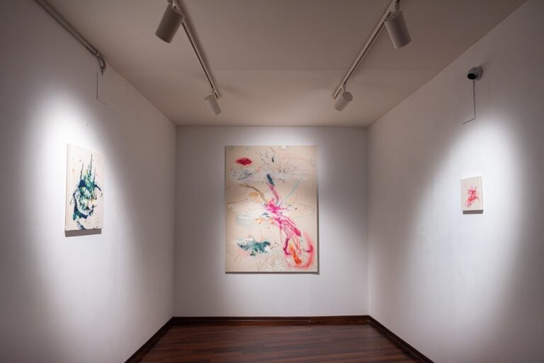 Araminta Blue, Venti trasversali, installation view a Palazzo della Penna, Perugia. Photo Eleonora Pascai