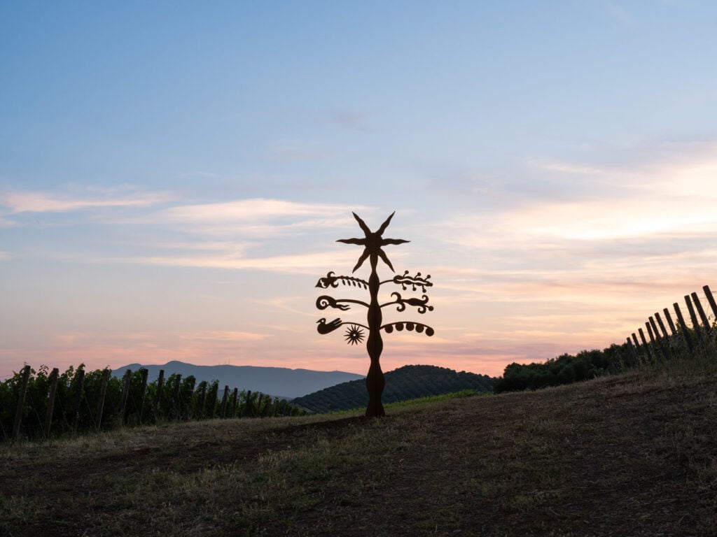 Azzurra Galatolo, Albero della Maremma, Courtesy the artist, Hypermaremma, Monteverro_Crediti fotografici Daniele Molajoli