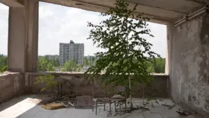 Chernobyl 1986. Disastro, abbandono e rinascita