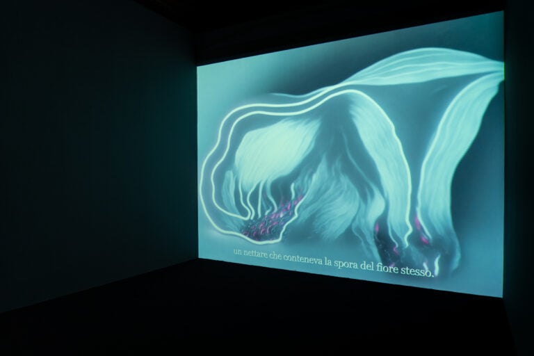 OPEN Installation View, Palazzo Buontalenti, 2026 Courtesy of the European University Institute. Photo credit Elisa Norcini