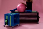 &bull; Claudio Larcher, Belt S, ph Stefania Zanetti, SCISCIOR&Eacute; sezione A incastro